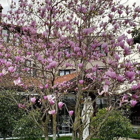 Semesteranläggning (resort) Park Ashik